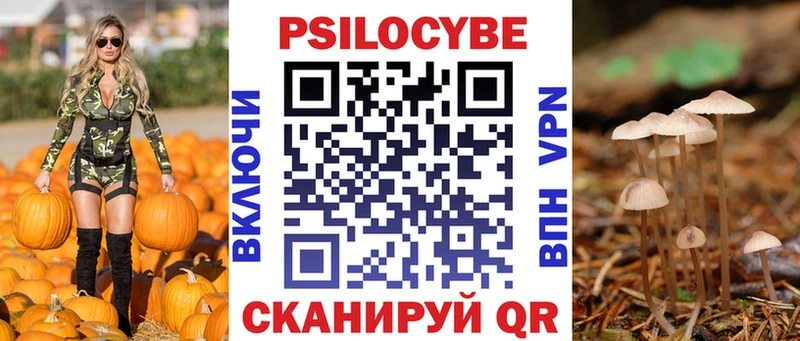 Псилоцибиновые грибы мицелий  ссылка на мегу зеркало  Сенгилей 